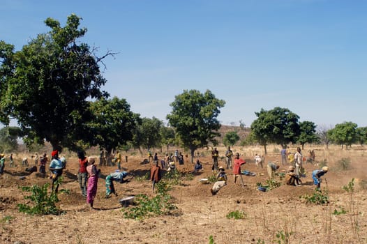 To the goldmine of Poura the gold diggers come from everywhere in the hope of finding a little gold after the season of the cultures. Women, children and men of very old are here in a universe of dust under a blazing sun. In Burkina Faso Faso the research