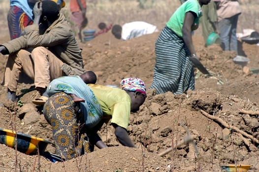 To the goldmine of Poura the gold diggers come from everywhere in the hope of finding a little gold after the season of the cultures. Women, children and men of very old are here in a universe of dust under a blazing sun. In Burkina Faso Faso the research