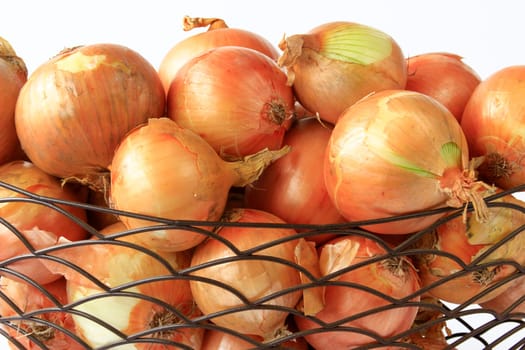 Onion