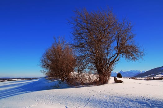 A bench with a magnificent view