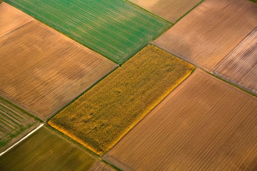 rural landscape with acre from hot air balloon in Frankfurt