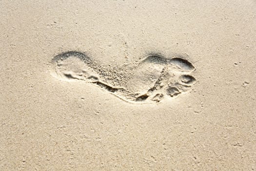 human adult footprint in the fine sand at the beach