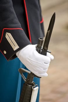 The Royal Danish Guard patrols the royal residence Amalienborg Palace and serves the royal Danish family. Amalienborg is also known for the Danish Royal Guard, who patrol the palace grounds. The Danish Royal Guard march from Rosenborg Castle at 11.30am da
