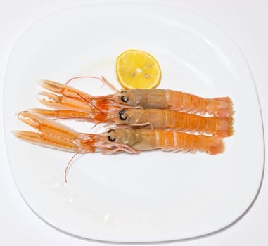 fresh shrimps with lemon on the plate