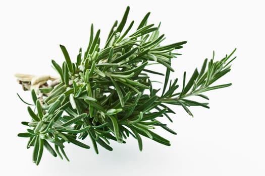 Rosemary