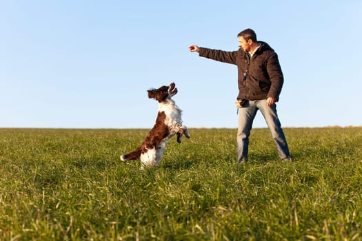 Dog training