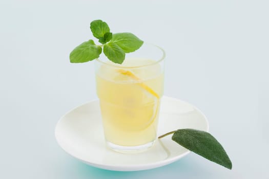 Citrus-Mint-Honey Lemonade