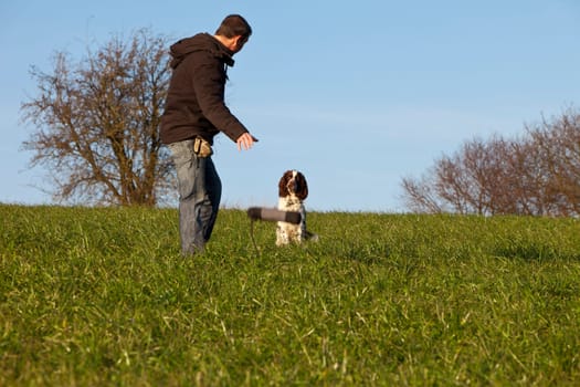 Dog training