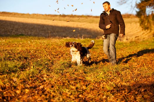 Leaf hunting in autumn