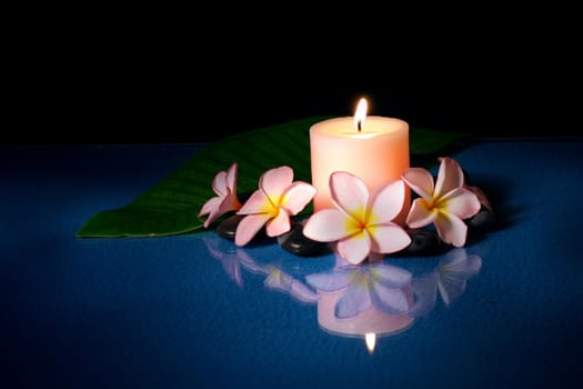 Burning candle with frangipani flowers at night