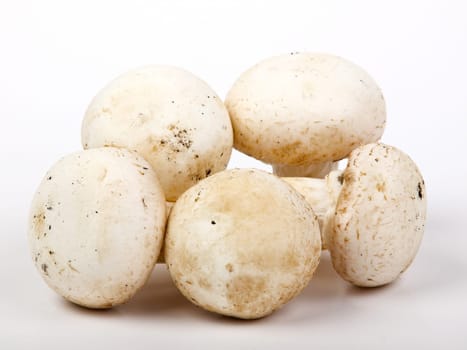 whole champignon isolated on white background