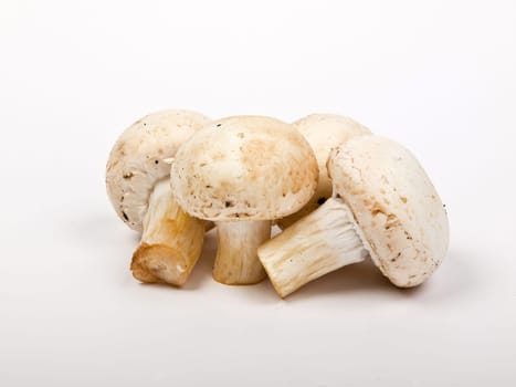 white fresh whole champignon mushrooms