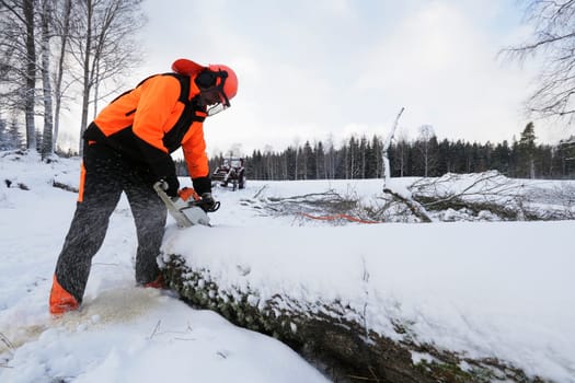 lumberjack, woodcutter with chainsaw, winter scenery from sweden