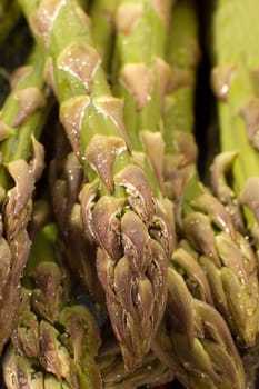 fresh asparagus vegetable tips close up shoot