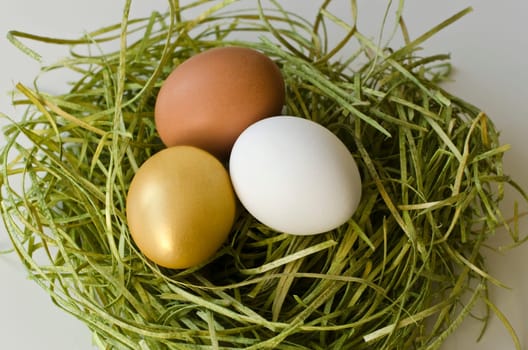 Three eggs in the grass (brown,white,gold)