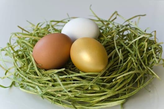 Three eggs in the grass (brown,white,gold)