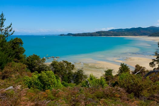 Scenic view of Tasman bay in New Zealand during low tide