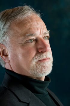Portrait of a senior successful businessman