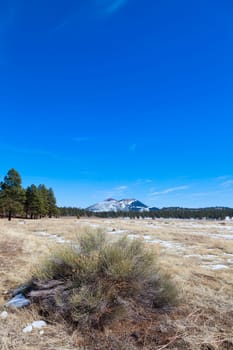 Image of Sunset Crater volcano in Flagstaff, Arizona