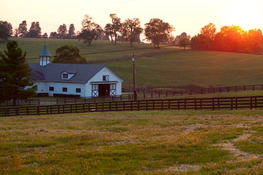 Sunset behind the fields of a horse farm in Kentucky