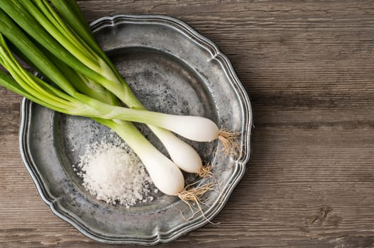 Fresh spring onion with salt close up shoot