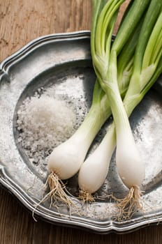 Fresh spring onion with salt close up shoot