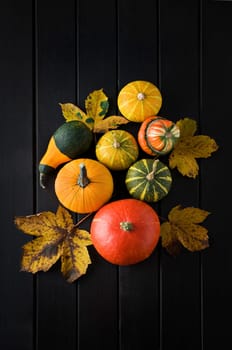 Mixed pumpkins with leaves on dark background