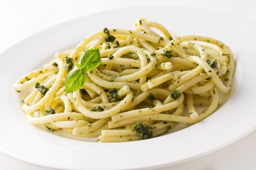 Fresh spaghetti pasta with basil pesto close up