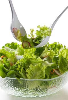Fresh tossed green salad close up shoot