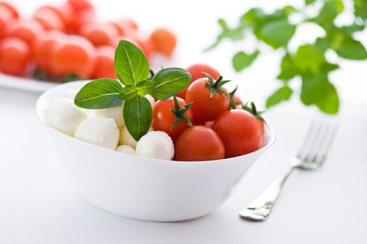 Tomato, mozzarella and fresh basil close up shoot