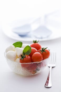 Tomato, mozzarella and fresh basil close up shoot