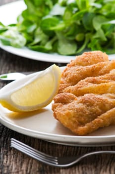 Fresh fried chicken steak with salad close up shoot