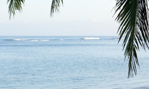 Blue calm ocean framed by fronds of palm tree