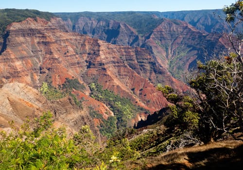 Early light illuminates the steep rock sides of Waimea Canyone on Kauai