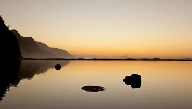Albatros soaring over the Na Pali coast by Ke&#039 e beach in Kauai at sunset