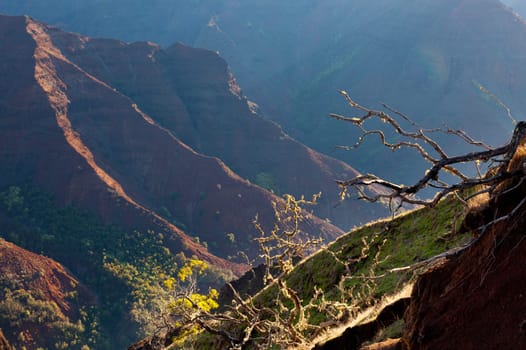 Early light illuminates the steep rock sides of Waimea Canyone on Kauai
