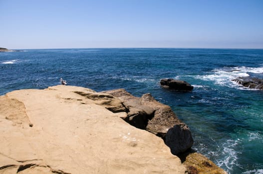 Landscape in San Diego