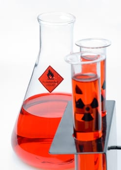 Beaker with Test Tubes
