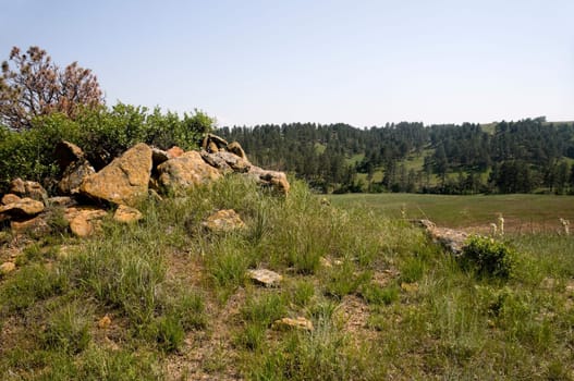Landscape in Wyoming