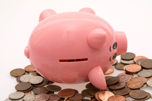 Piggy Bank Rolling in Money