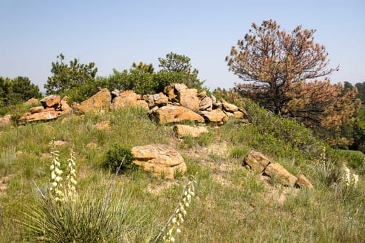 Landscape in Wyoming
