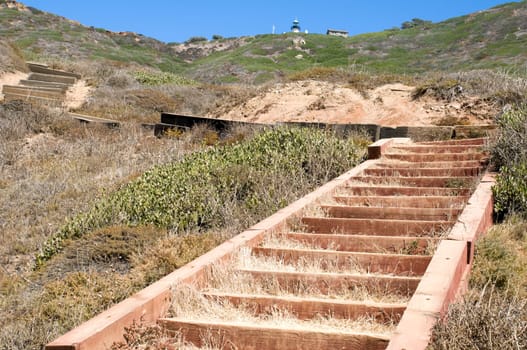 Trail at Point Loma