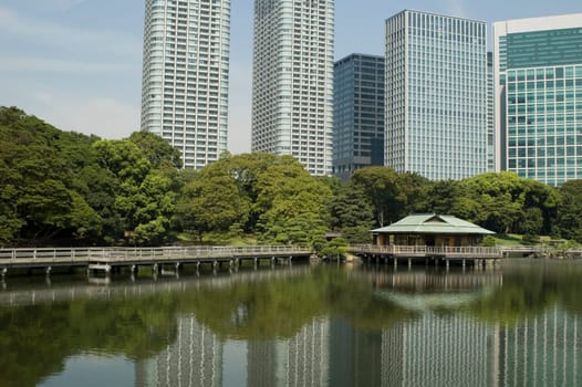 Park in Tokyo, Japan