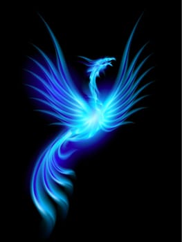 Beautiful Blue Burning Phoenix. Illustration isolated over black background