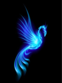 Burning blue phoenix isolated over black background