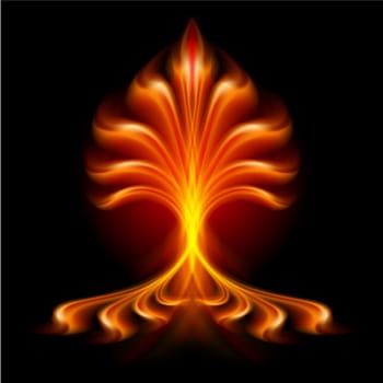 Fire flower. Illustration isolated over black background
