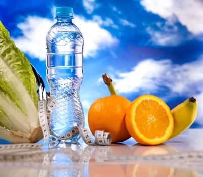 Fitness diet