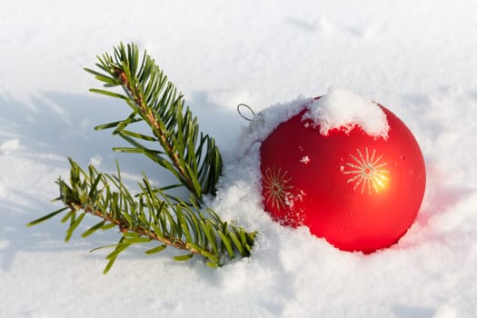 Red Christmas ball,symbol with fir branch in the snow