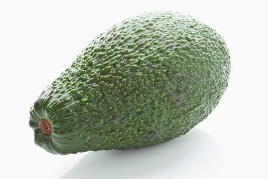 avocado (Persea americana)