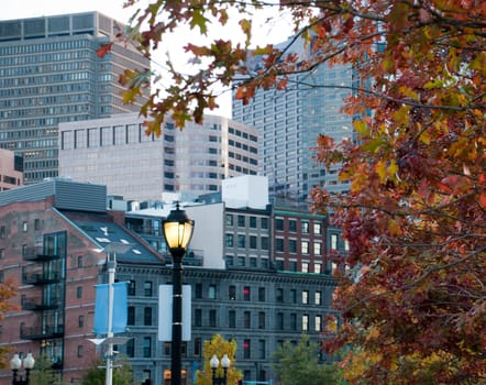 Boston in the Fall